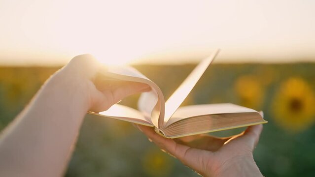 Woman flips through pages of old paper book on sunset background in sunflowers field. Aesthetics scene. Education, science, nature concept.