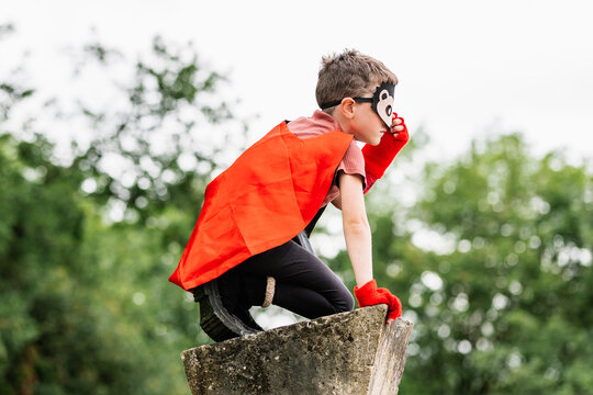 Superhero in hedgehog mask in park