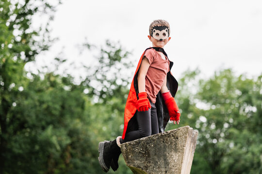 Superhero in hedgehog mask in park