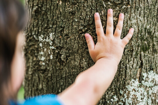 Crop unrecognizable child touching tree trunk