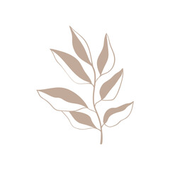Grass sprig of forest plant line art. simple icon plant blade of grass