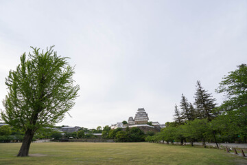Obraz premium 広い公園から見える存在感のある国宝姫路城