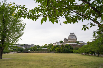 公園から壮大な国宝姫路城を臨む - obrazy, fototapety, plakaty