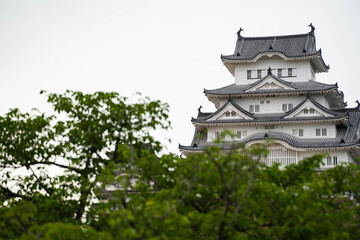Fototapeta na wymiar 緑の上にそびえる姫路城の天守閣