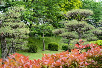 美しい5月の国宝姫路城の日本庭園