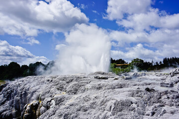 Geyser eruptions in Whakarewarewa geothermal area Rotorua New Zealand 