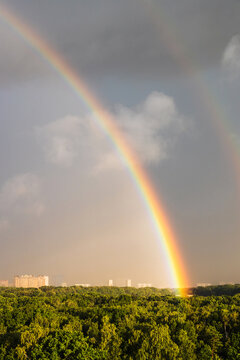 bright rainbow in gray blue sky over sunlit city park before thunderstorm on sunny summer day © vvoe