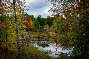 Québec in Fall form the sky