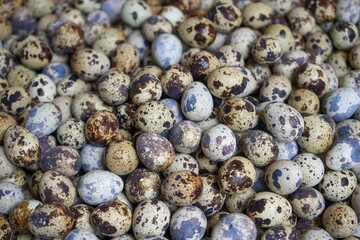 Quail eggs are considered a delicacy in many parts of the world. In Japanese cuisine, they are sometimes used raw or cooked as tamago in sushi and often found in bento lunches.