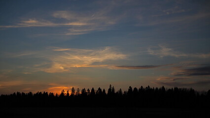 Rural landscape. Colorful sunset on the background of trees. Leningrad region, Russia.