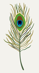 Vector bright illustration of peacock feather isolated on light background.