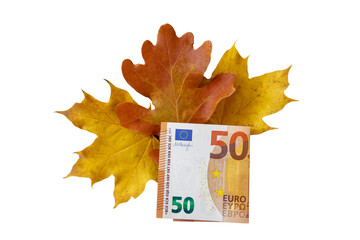 Isolated on a white background of 50 euros and autumn multicolored maple leaves. The concept of seasonal price changes. Autumn sale.