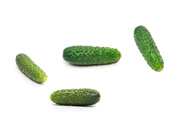 Fresh green cucomber isolated on white background.