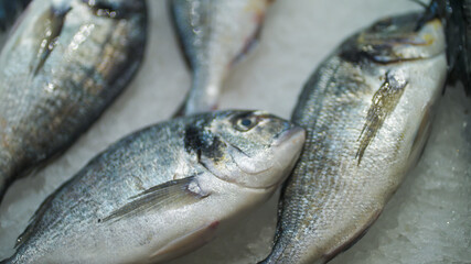 peixe, mercado