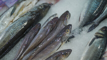 peixe, mercado