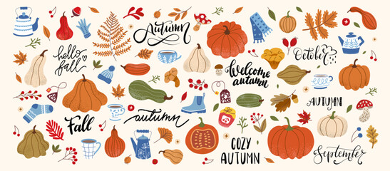 A large set with autumn oral leaves, pumpkin, sweater, tea and gloves. Leaf Fall, Mug, Pumpkin, Squash and Lettering Fall
