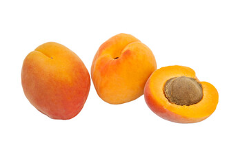 Beautiful apricots on a white texture. Isolated ripe peaches. Juicy white plums on a light background. Fruit growing concept.
