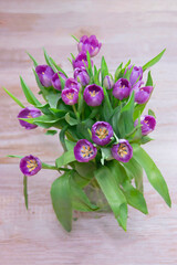 Purple tulip bouquet, Top view over wooden table. Greeting card style. Bunch of fresh cut spring flowers.