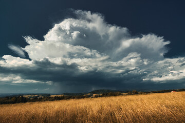 Fototapeta na wymiar Incoming thundestorm above the grain field.