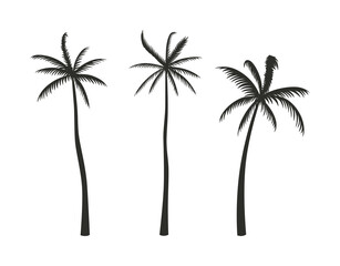 Fototapeta premium Set of silhouettes of palm trees in a hand-drawn style.