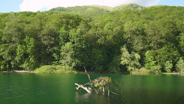 Biogradsko lake and its surroundings