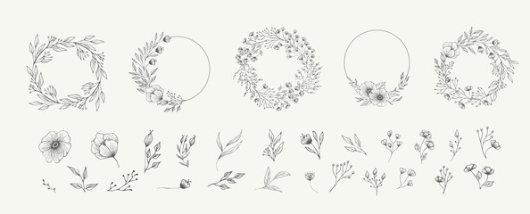 Set of floral compositions. Botanical arrangement of leaves branches and blooming flowers. Vector ornamental herbs in boutonniere and bouquet. Wedding design