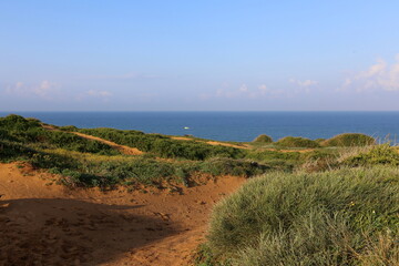 Natural landscape in northern Israel.