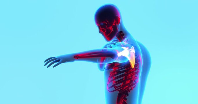 Young Adult Male Feeling Shoulder Bone Pain. X-Ray Image. Medical And Healthcare Related 3D Animation.