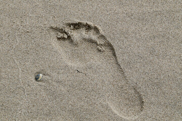 footprint on the sand