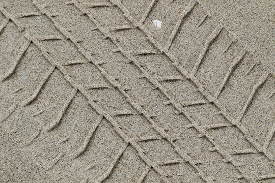 tracks in sand
