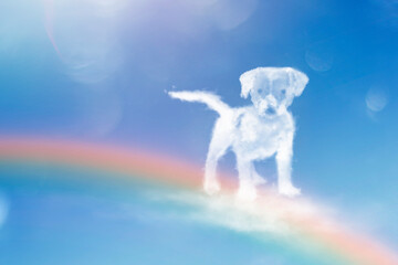 Angel dog walking on the rainbow. Dog clouds shape. - obrazy, fototapety, plakaty
