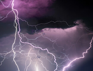 Fork lightning striking down during summer storm