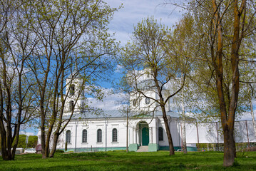 Fototapeta na wymiar View of the Trinity Cathedral through the spring foliage. Ostrov, Pskov region