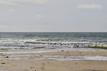 beach and sea