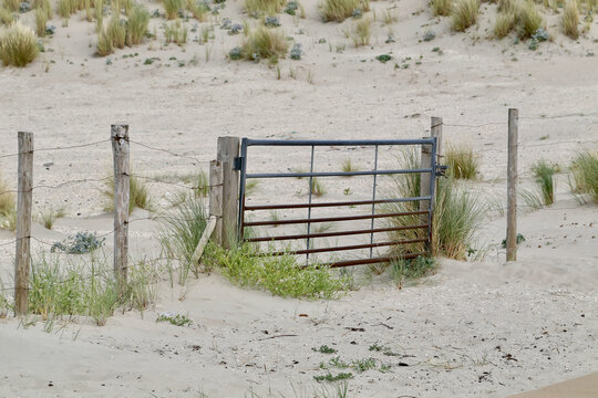 sand dune fencewith gate