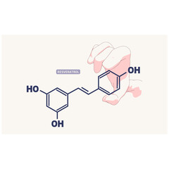 Hand holding chemical molecular formula of resveratrol. Concept of medicine and pharmacy