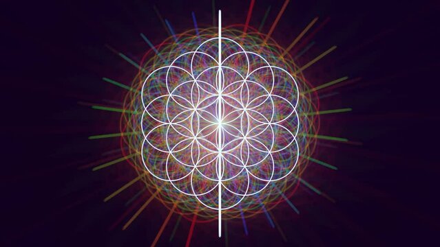 looped 3d animation multilevel symbol "flower of life" sacred geometry of astral projections