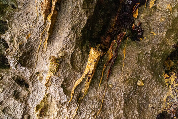 rocks near the beach with a great variety of veins of different colors and minerals, live and natural colored rocks