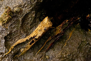 rocks near the beach with a great variety of veins of different colors and minerals, live and natural colored rocks