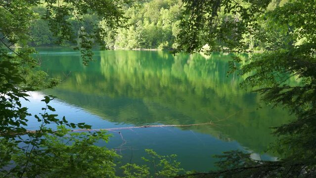 Biogradsko lake and its surroundings