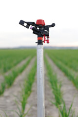 A sprinkler on farmland. Selective approach. Background blurred.