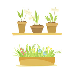 Gardening with Seedling in Pots and Flowerbed as Plant Cultivation and Agriculture Vector Set