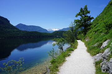 Sunny morning walk though a path by the Altausseer lake in Austria