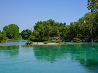 beautiful river in the forest