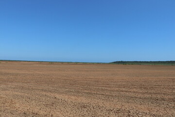 Obraz premium Desierto árido en verano