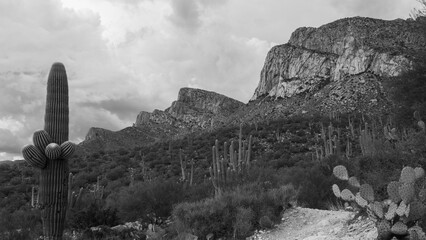Black and white photograph of Pusch Ridge along the western edge of the Catalina Mountains north of Tucson. Beautiful monsoon clouds and rocky cliffs. Oro Valley, Pima County, Arizona, USA.