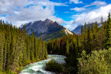 mountain river in the mountains