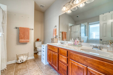 Fototapeta premium luxury bathroom 