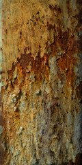 Fototapeta premium rusty metal background