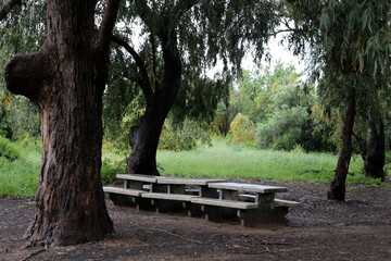Bench for rest in the city park on the seashore.